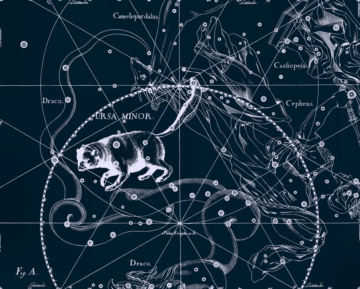 Historia de la constelación